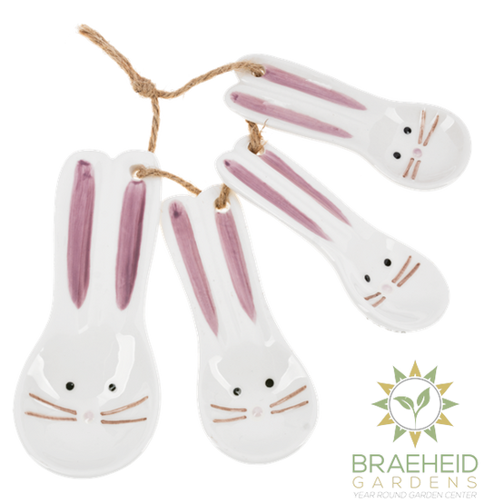 Bunny Measuring Spoons (4 pc. set)