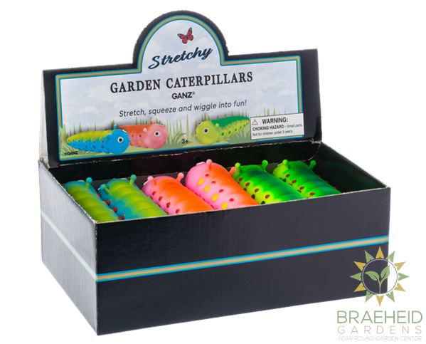 Stretchy Garden Caterpillars in Display