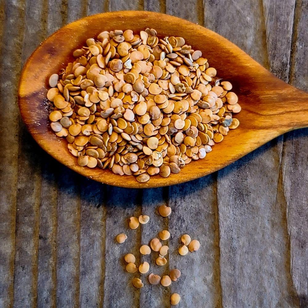 Listada Di Gandia Eggplant