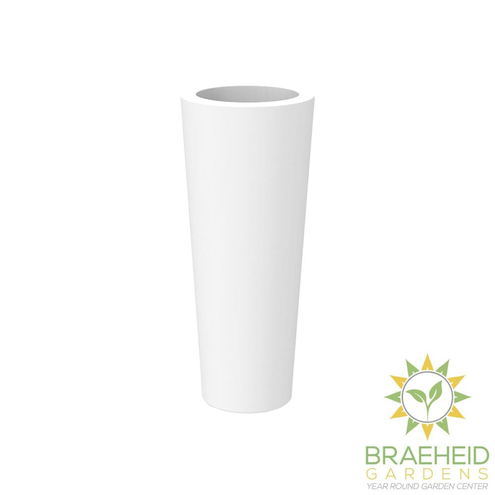 Ficus<br> Solar & Rechargeable