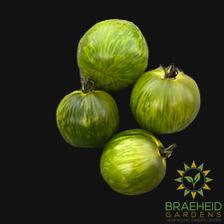 Green Zebra Tomato