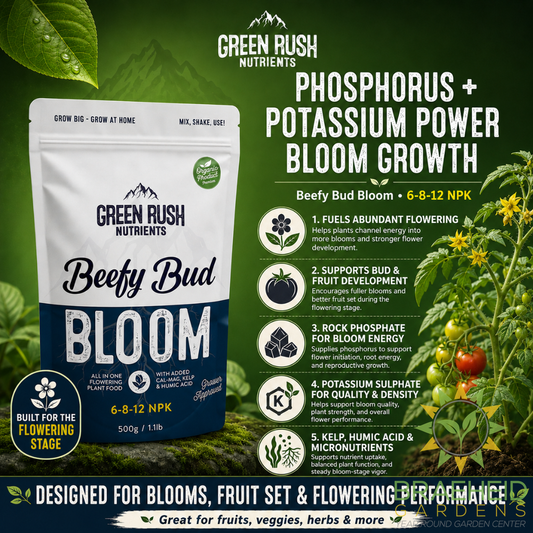 Beefy Bud Bloom Flowering Stage Plant Nutrients | All In One Plant Nutrients for Indoor & Outdoor Use