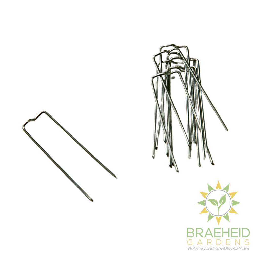 Floral Pins - Greening Pins - Moss Pole Pins
