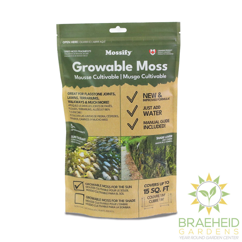 Native Boreal Mix Growable Moss for the Sun - PRE-ORDER