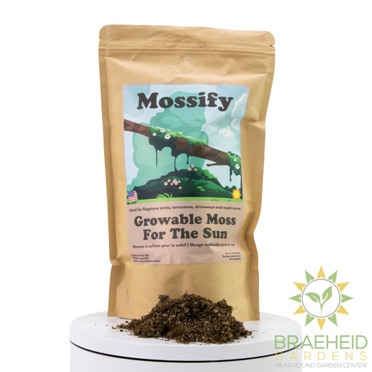 Growable Moss for the Sun