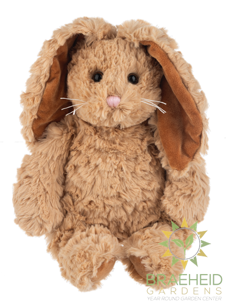 Hazlenut Bunny
