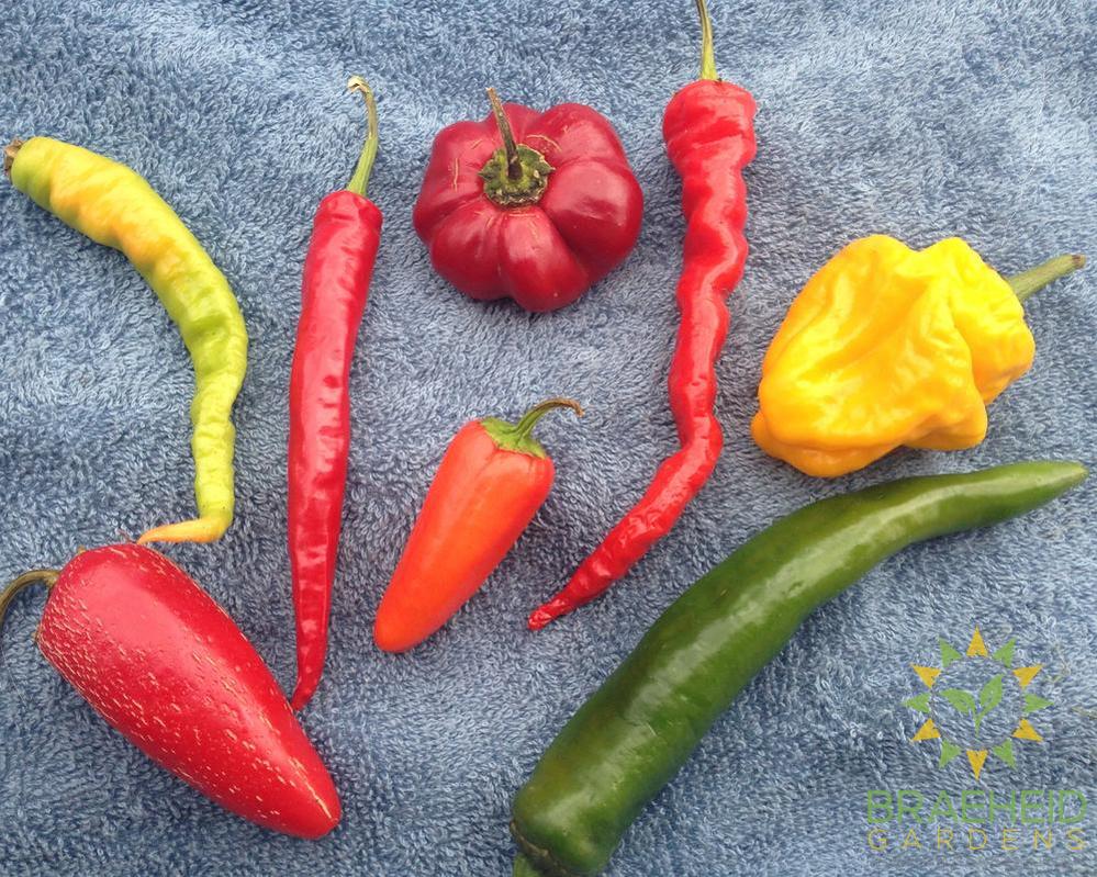 Hot Pepper Mix