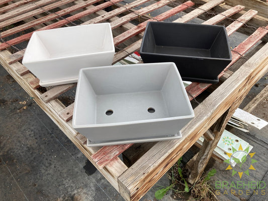 Matte Bonsai Pot assorted