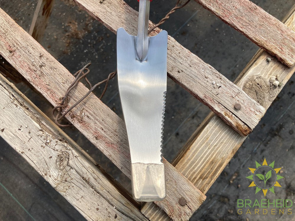 Stainless Steel Premium Weeder with Comfortgel