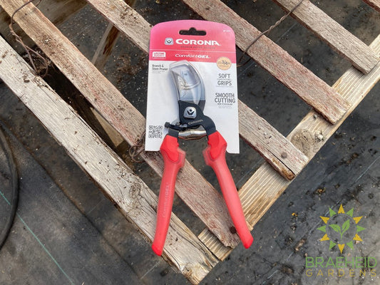 Pruner Bypass with -NO SHIP