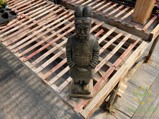 Terra Cotta Warrior - NO SHIP -