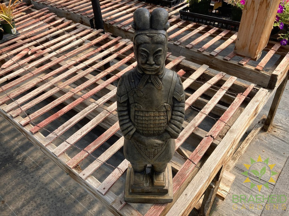 Terra Cotta Warrior - NO SHIP -