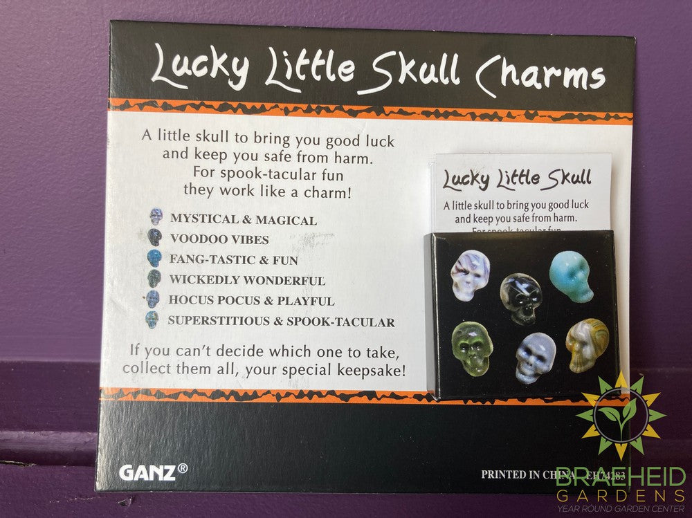 Lucky Little Skulls Charms in a Basket