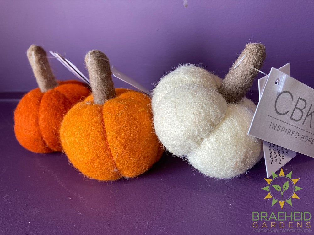 Handmade Felted Wool Pumpkin