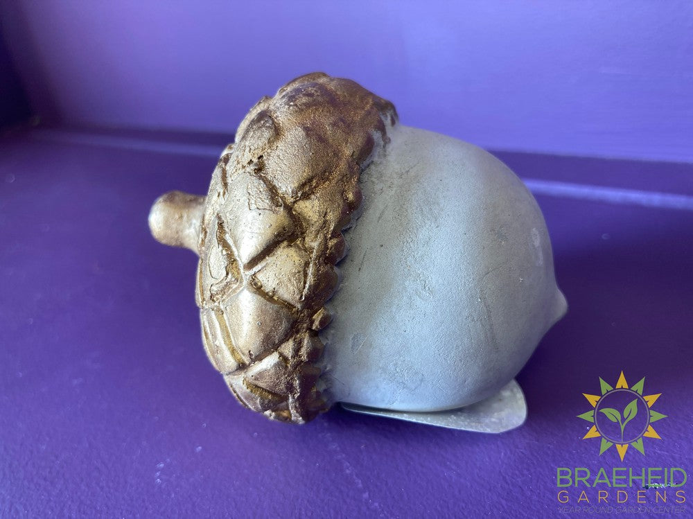 Small Acorn Decor