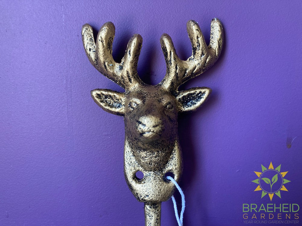 Stag Wall Hooks