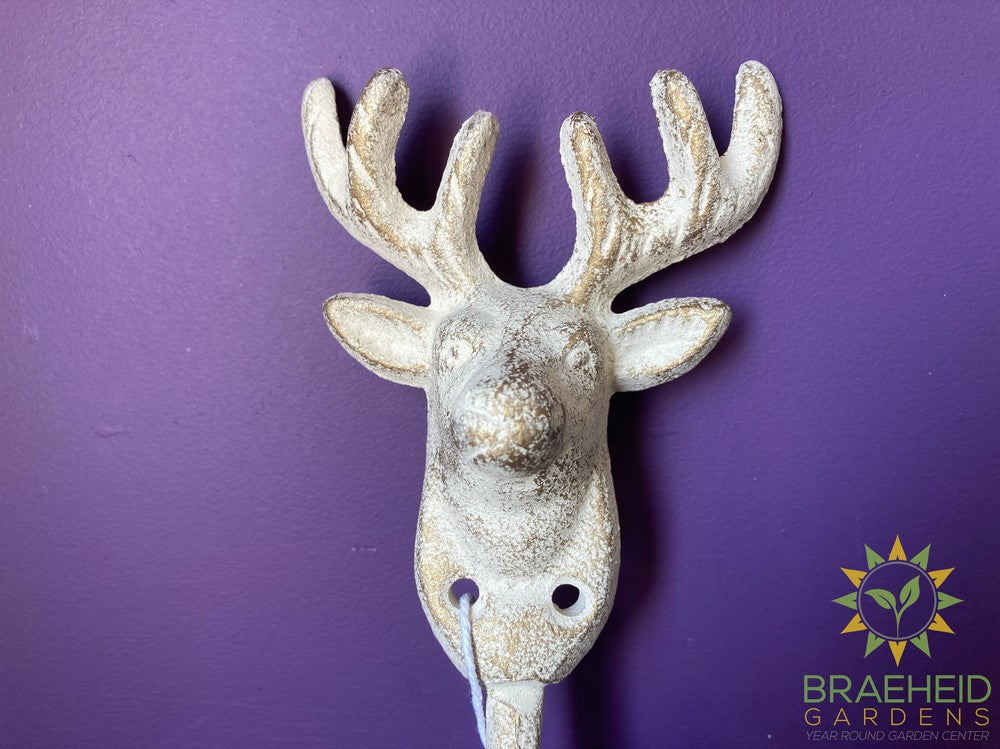 Stag Wall Hooks