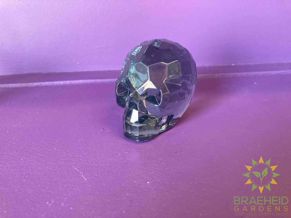 Skull Figurines