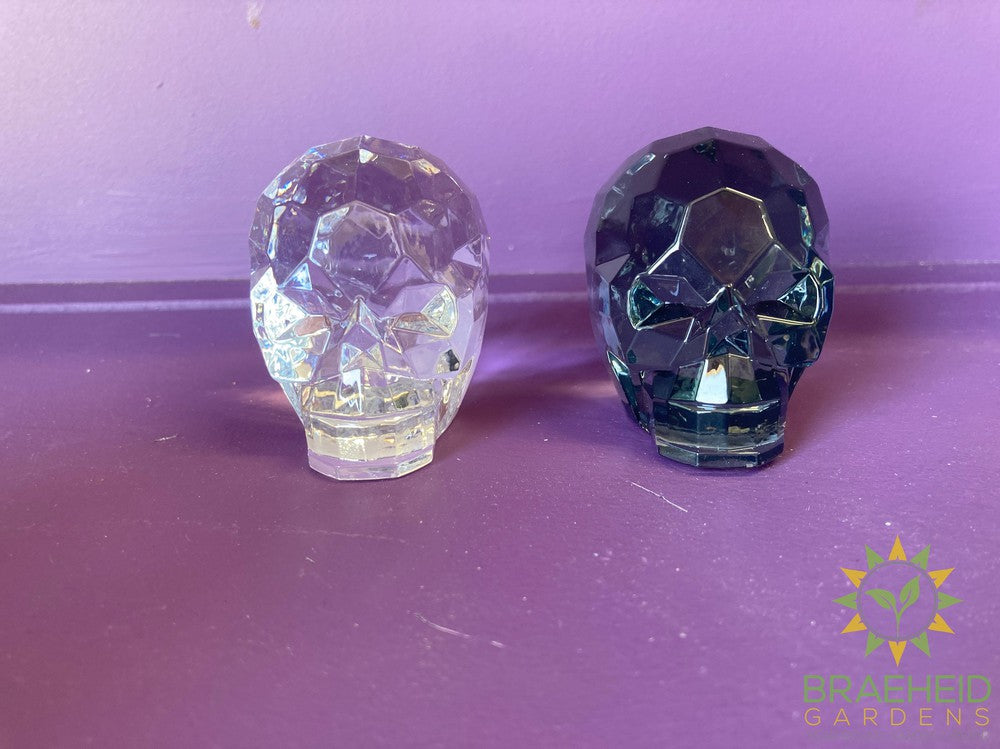 Skull Figurines