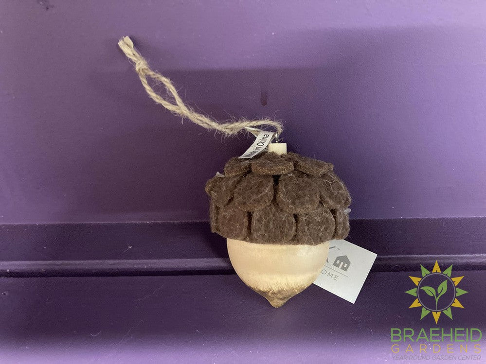 Felted Acorn Ornament