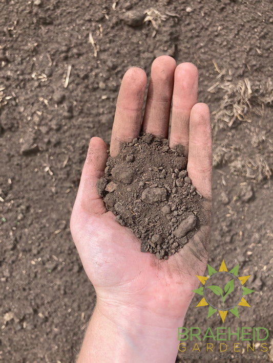 Unscreened Top Soil