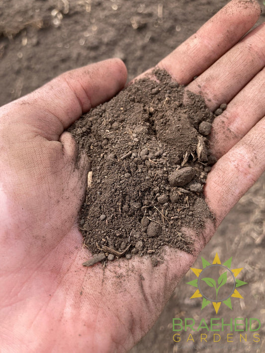 Unscreened Top Soil
