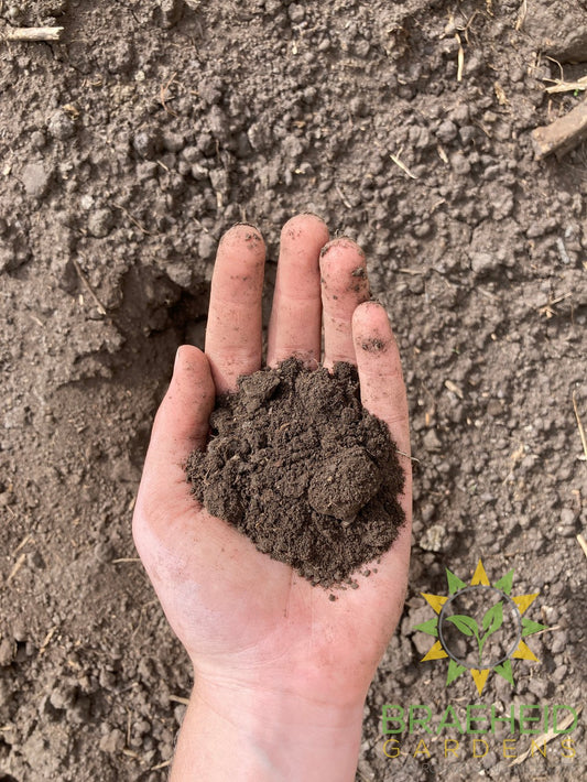 Peat Soil
