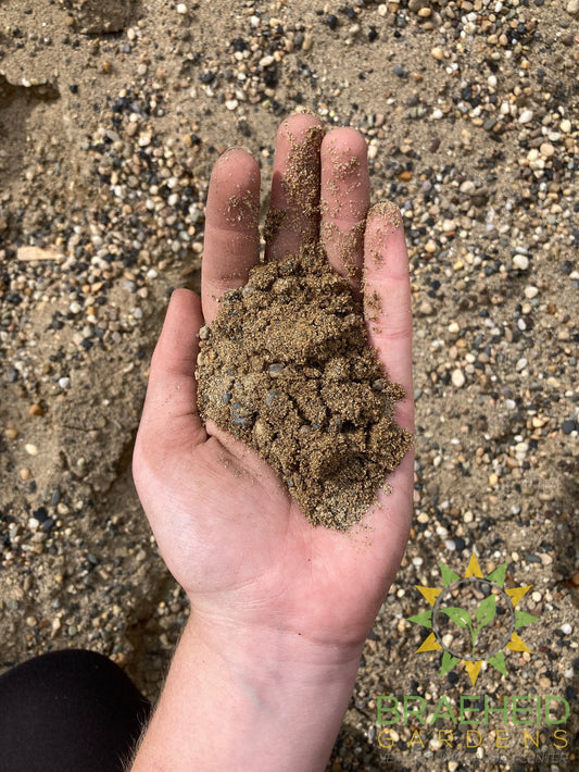 Washed Sand