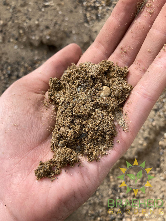 Washed Sand