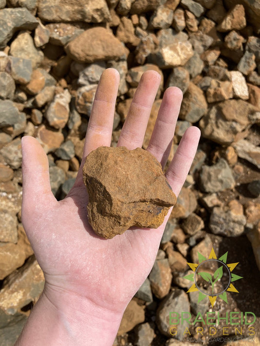 Large Red Shale