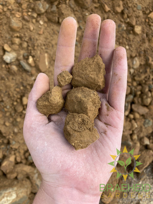 Fine Red Shale