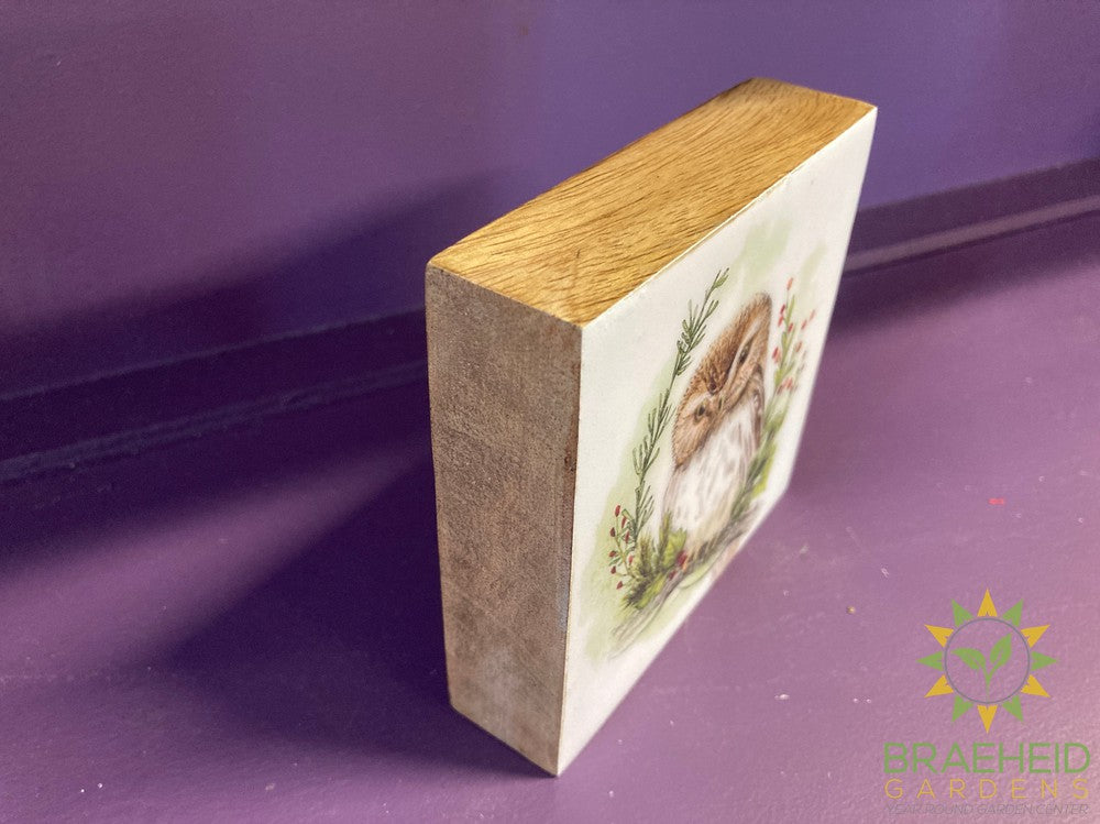 Woodland Art Blocks