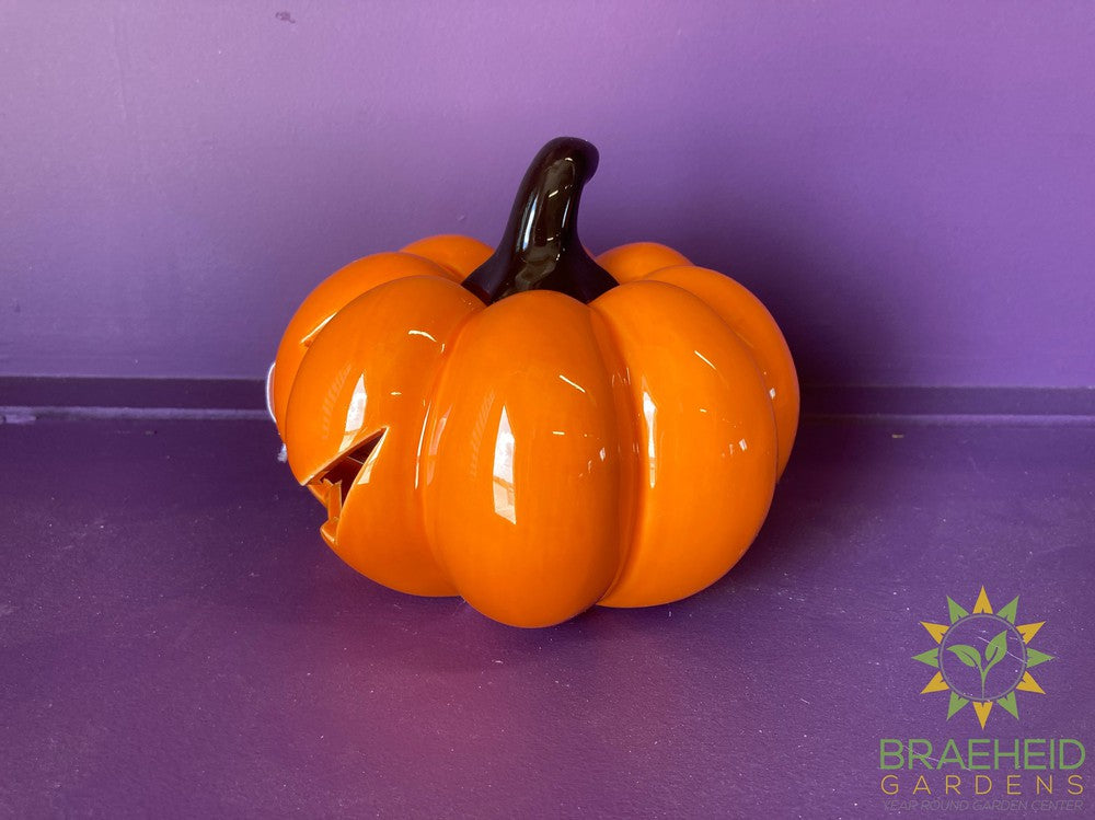 Light Up Jack O Lantern Figurines