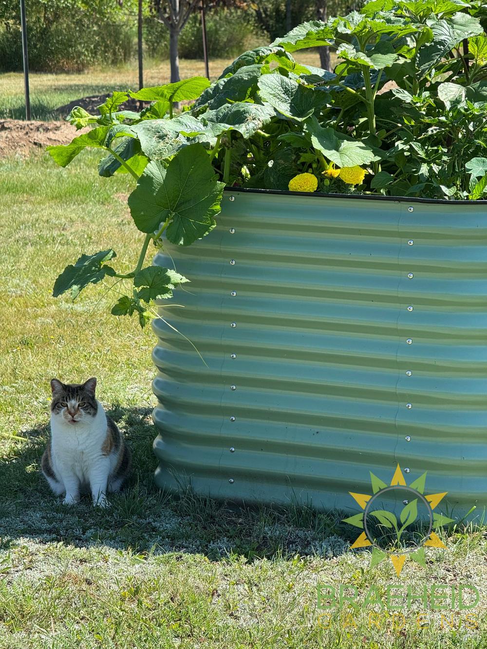 32" Tall Garden Bed Kit 9 in 1