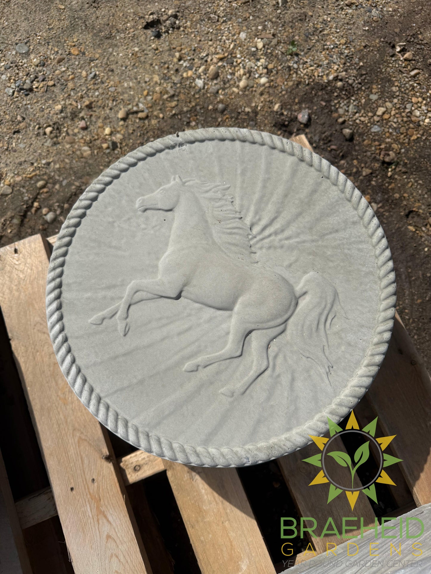 Concrete Jasper-Running Horse Stepping Stone