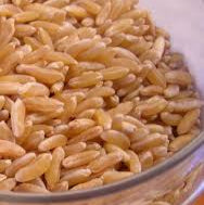 Khorasan Wheat