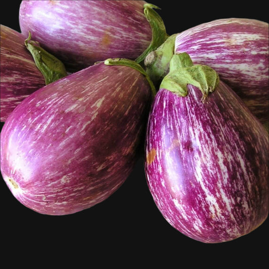 Listada Di Gandia Eggplant