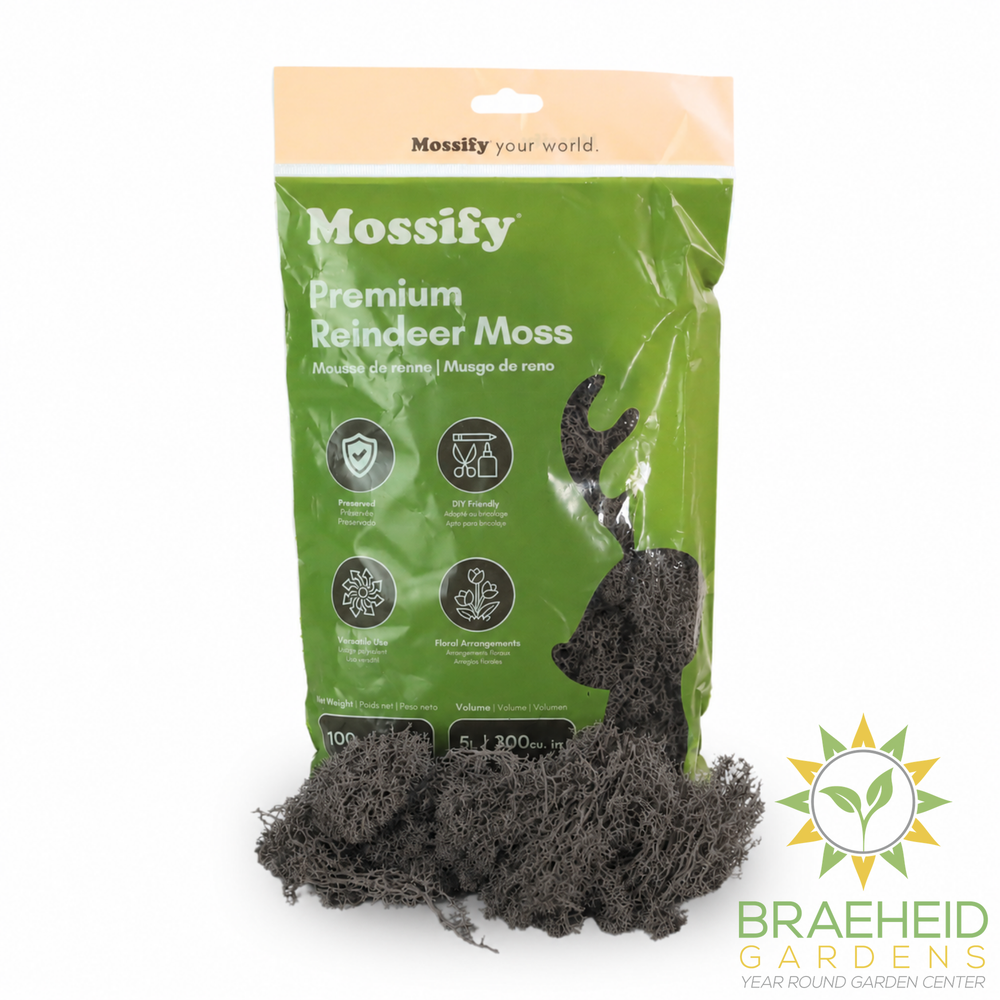 Premium Reindeer Moss Bag