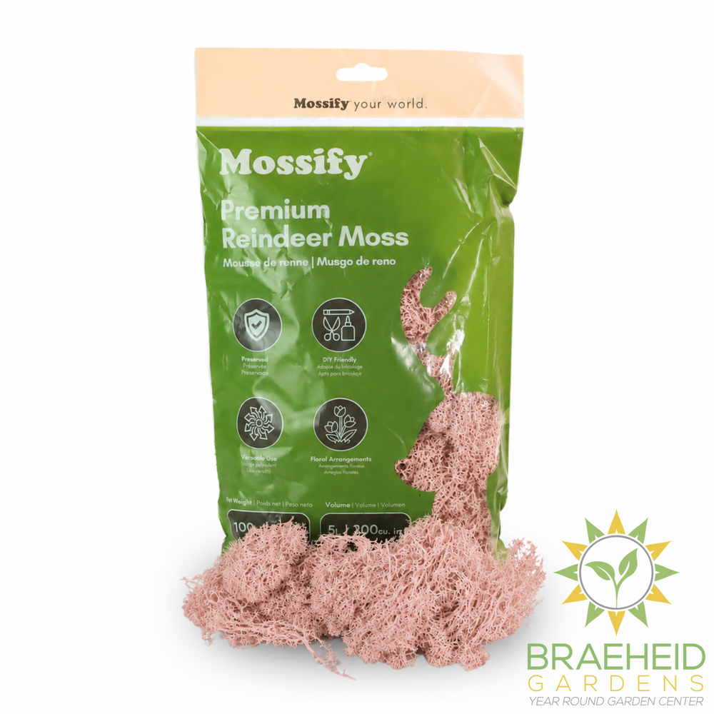 Premium Reindeer Moss Bag