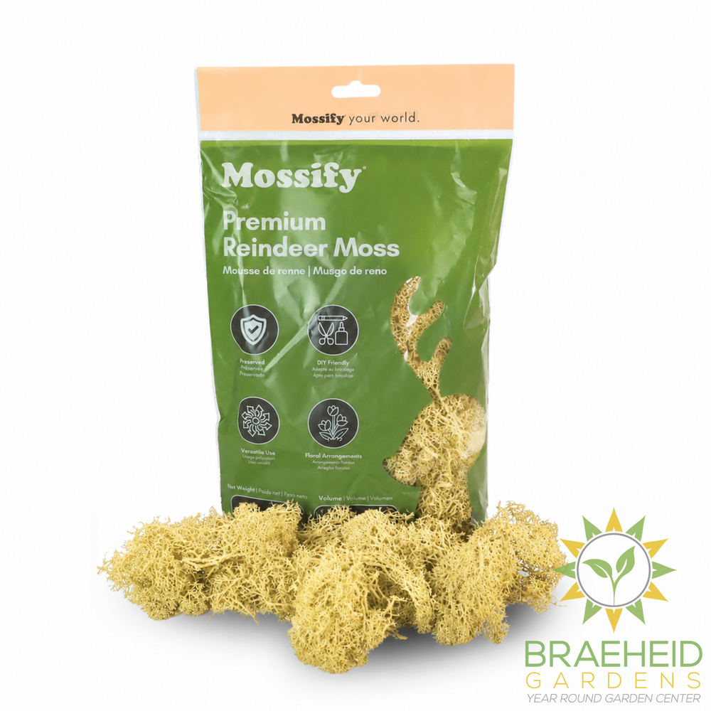 Premium Reindeer Moss Bag