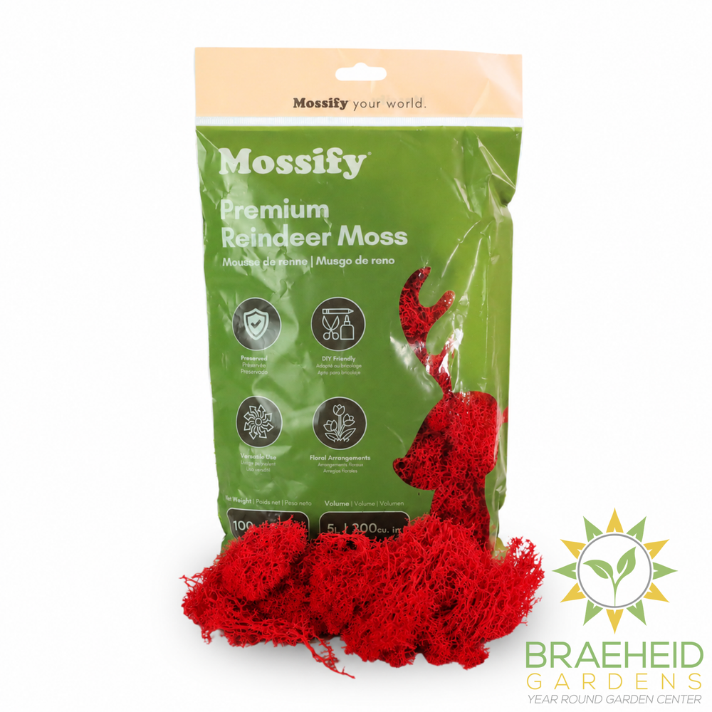 Premium Reindeer Moss Bag