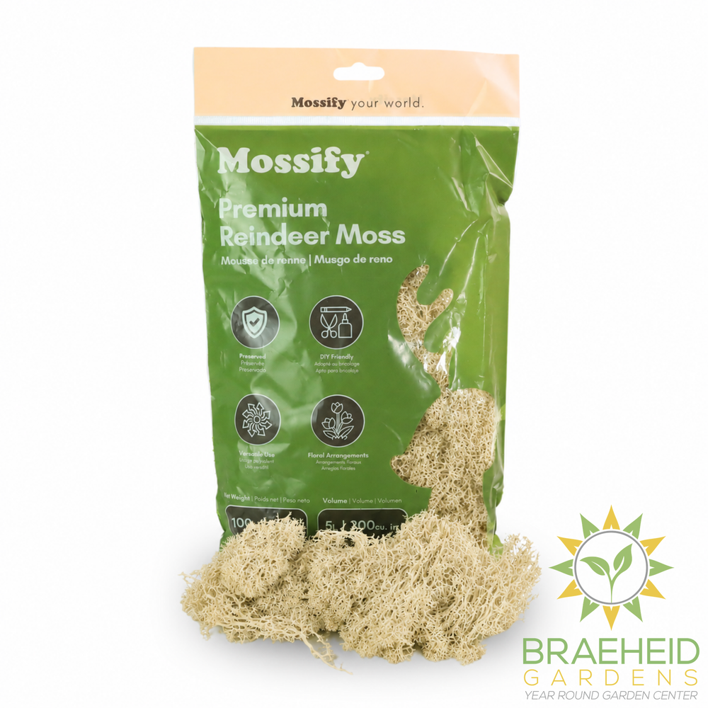 Premium Reindeer Moss Bag