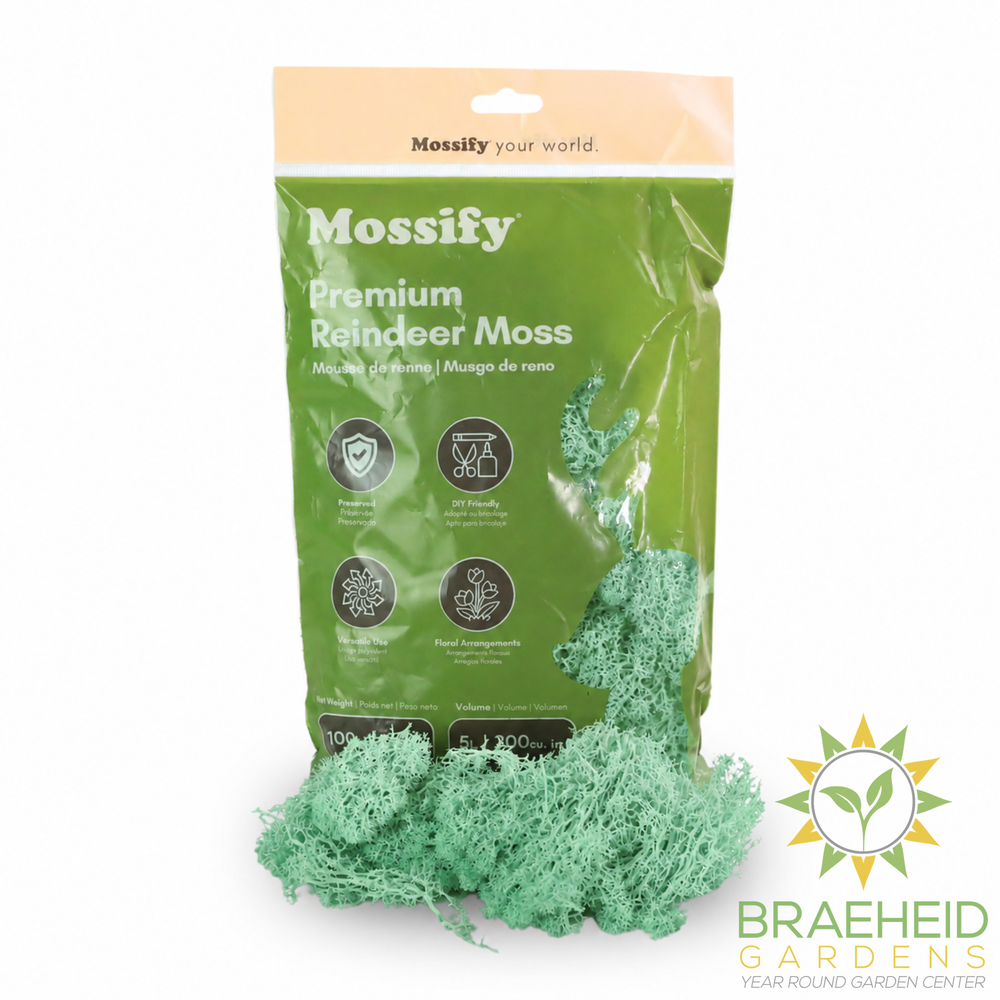 Premium Reindeer Moss Bag