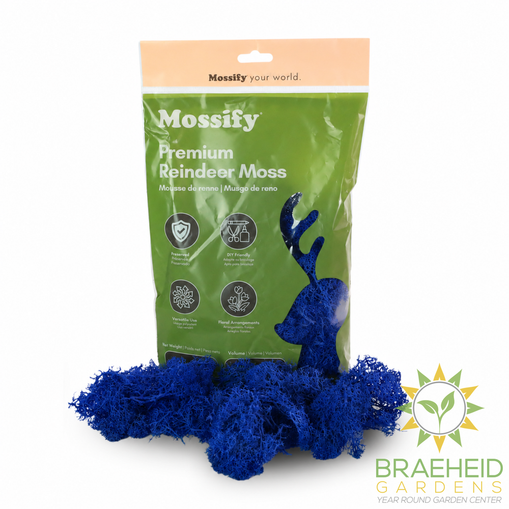 Premium Reindeer Moss Bag