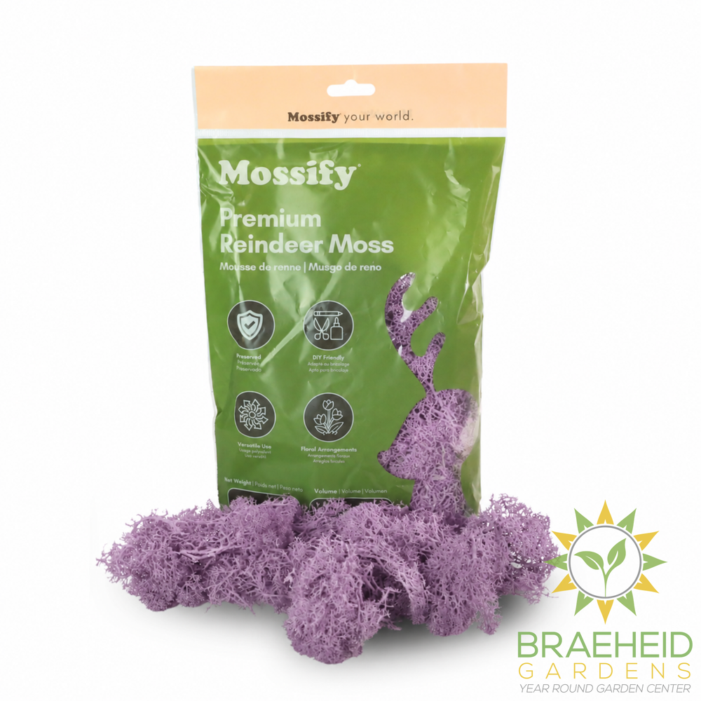 Premium Reindeer Moss Bag