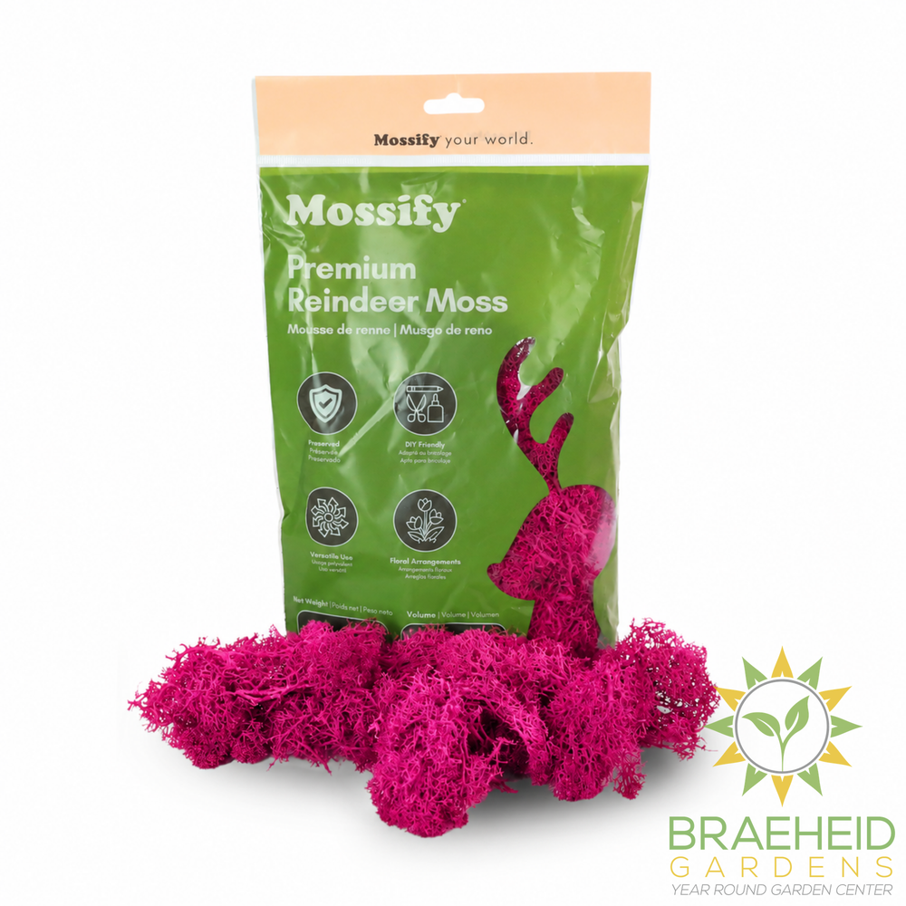 Premium Reindeer Moss Bag