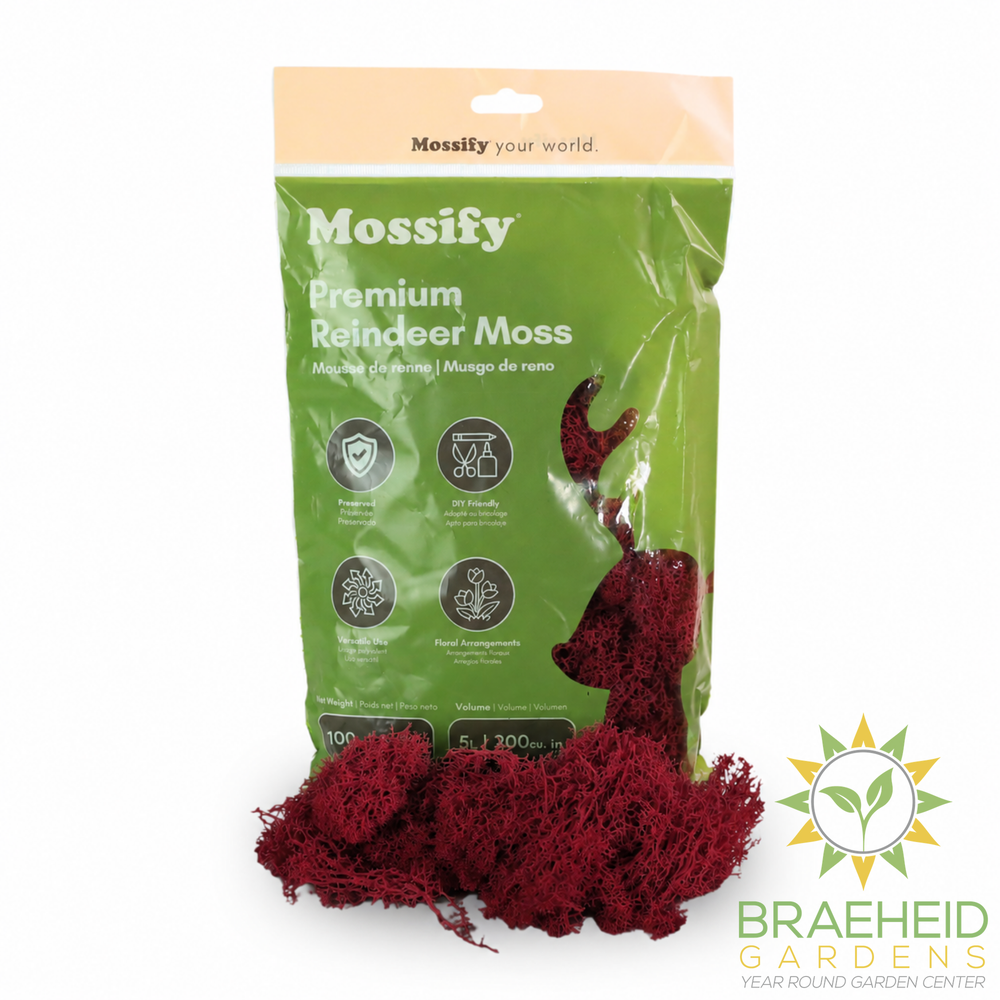 Premium Reindeer Moss Bag