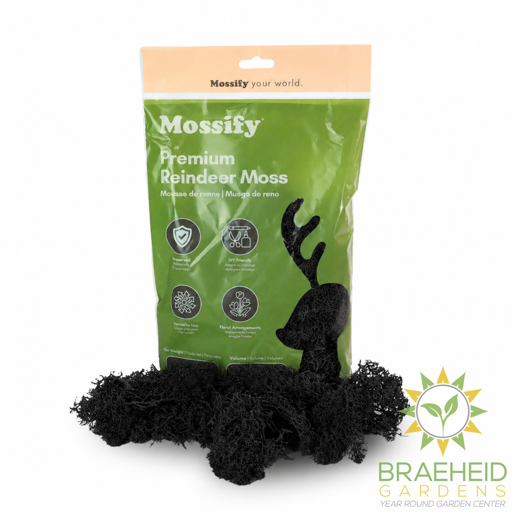 Premium Reindeer Moss Bag
