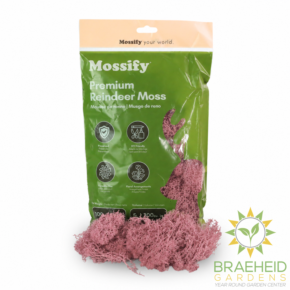 Premium Reindeer Moss Bag