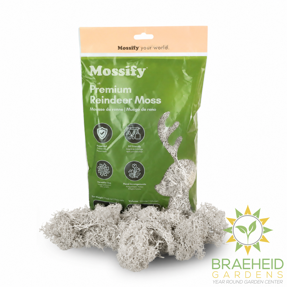 Premium Reindeer Moss Bag